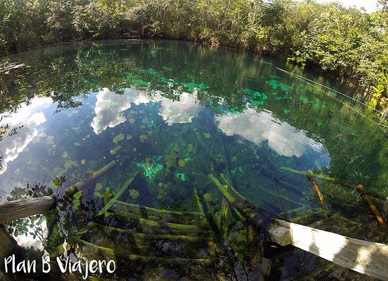 Cenote Carwash